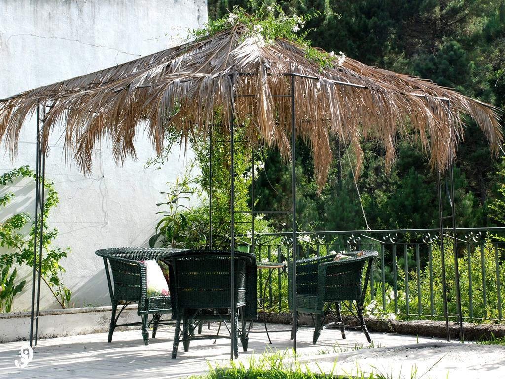 Quinta Dos Barbas Konuk evi Oliveira do Hospital Dış mekan fotoğraf