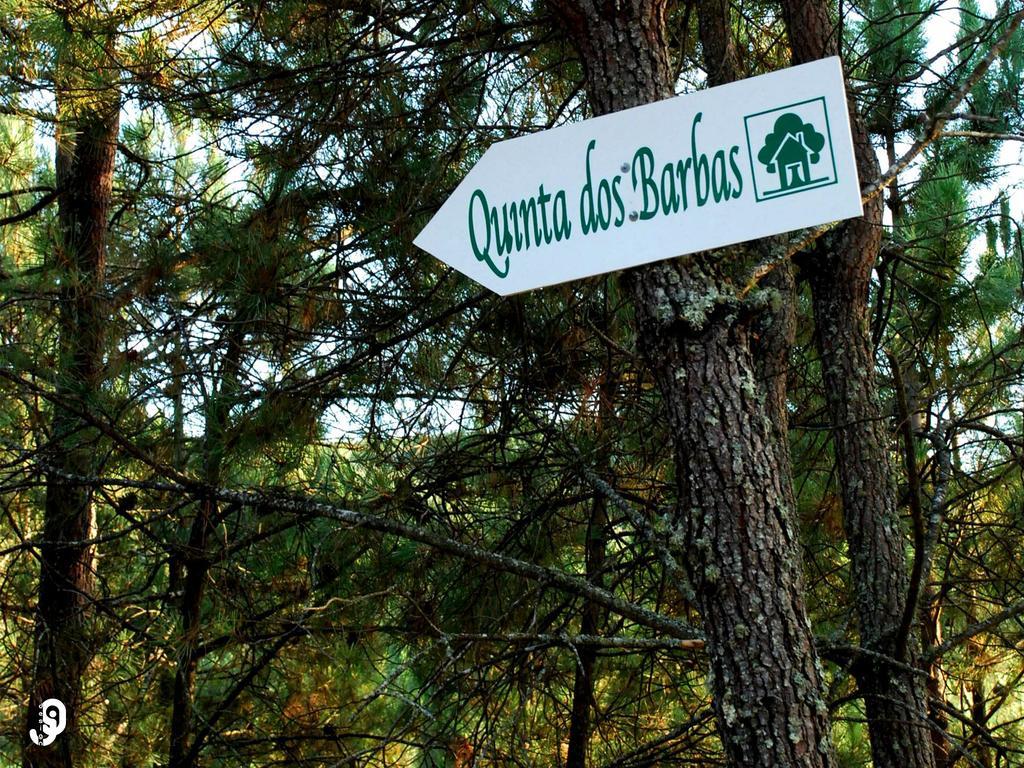 Quinta Dos Barbas Konuk evi Oliveira do Hospital Dış mekan fotoğraf