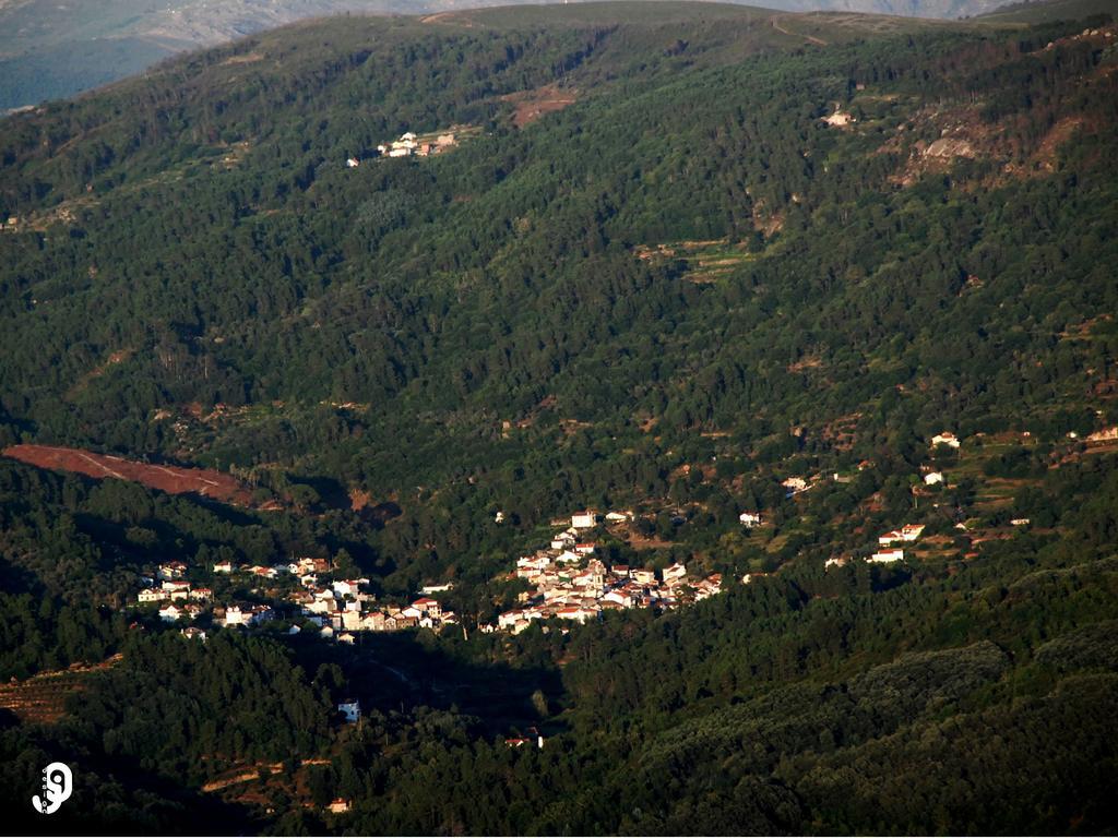 Quinta Dos Barbas Konuk evi Oliveira do Hospital Dış mekan fotoğraf